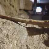 E proprio mentre stiamo per uscire, ci ritroviamo davanti all�ultima sorpresa del luogo: un osso integro, probabilmente una tibia, appartenente a uno dei corpi che un tempo furono seppelliti qui